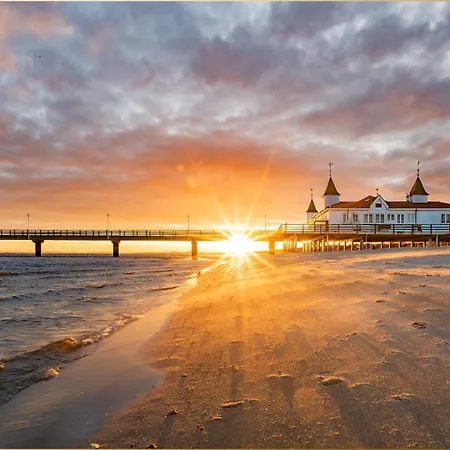 Strandlaeufer