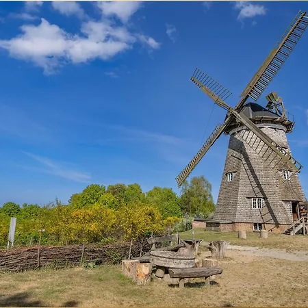 Strandlaeufer Херингсдорф