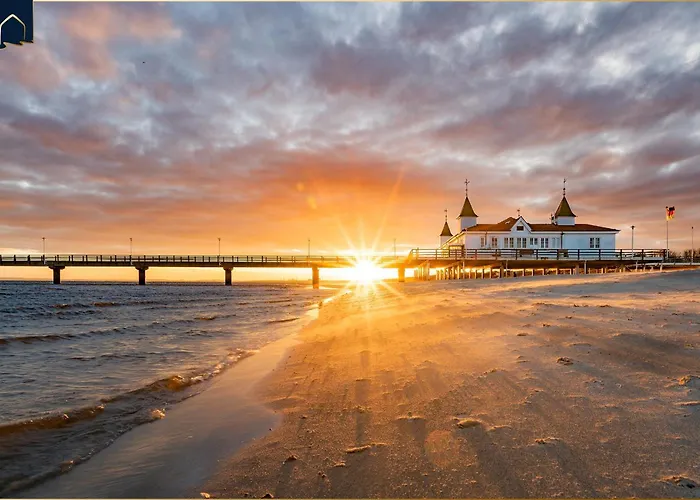 Strandlaeufer